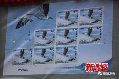 《大雁》特种邮票在衡阳首发